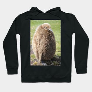 King penguin chick Hoodie